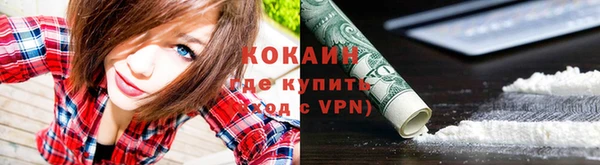 мяу мяу кристалл Верея