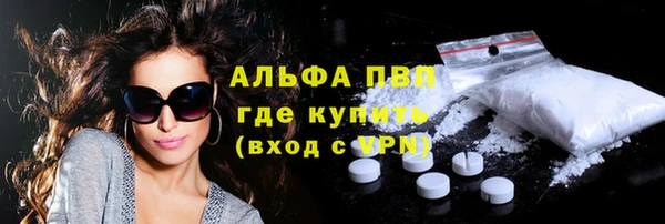 spice Бородино